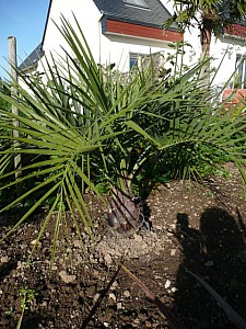 Thumbnail of 2008.jpg