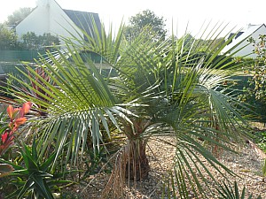 Thumbnail of 2011.jpg