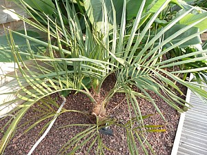 Thumbnail of 2007.jpg