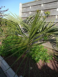 Thumbnail of 2008.jpg