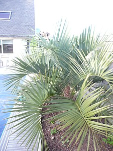 Thumbnail of 2010-B.jpg