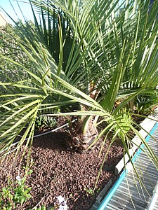 Thumbnail of a-2010.jpg