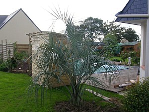 Thumbnail of b-2006.jpg