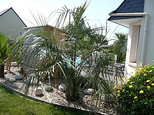 Thumbnail of b-2007.jpg