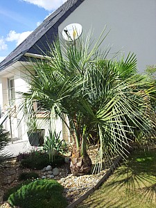 Thumbnail of b-2012.jpg