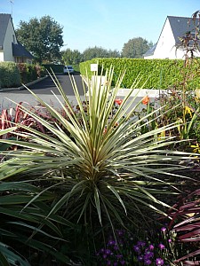 Thumbnail of 2008.jpg