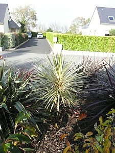 Thumbnail of 2009.jpg