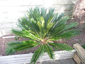 Thumbnail of a-2010.jpg