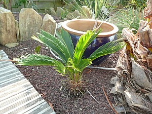 Thumbnail of b-2011.jpg