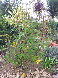 Thumbnail of Septembre-2012-0090.jpg