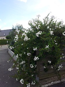 Thumbnail of Septembre-2012-0091.jpg