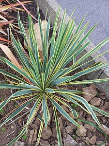 Thumbnail of Septembre-2012-0103.jpg