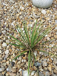 Thumbnail of Septembre-2012-0110.jpg