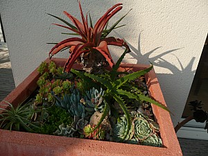 Thumbnail of 2011-0056.jpg