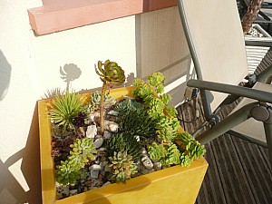 Thumbnail of 2011-0058.jpg