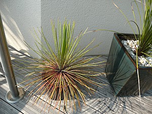 Thumbnail of 2011-0094.jpg