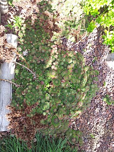 Thumbnail of 2012-0022.jpg