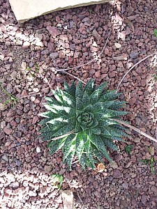 Thumbnail of 2012-0023.jpg