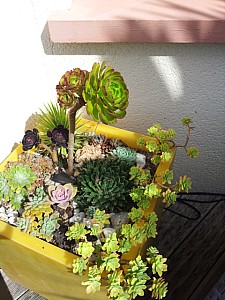 Thumbnail of 2012-0046.jpg