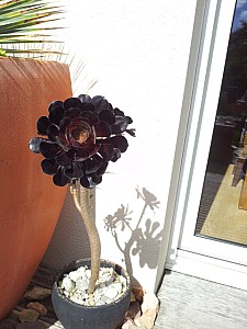 Thumbnail of 2012-0047.jpg