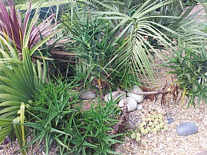 Thumbnail of 2012-0055.jpg