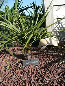 Thumbnail of 2008.jpg