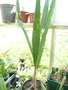 Thumbnail of B-2011.jpg