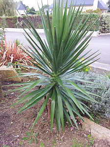 Thumbnail of 2012.jpg