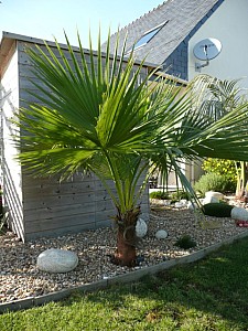 Thumbnail of 2008.jpg