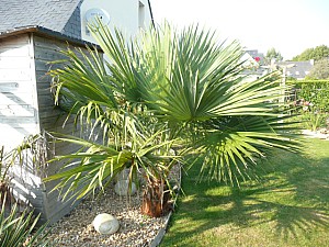 Thumbnail of 2011.jpg