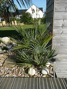 Thumbnail of 2008.jpg