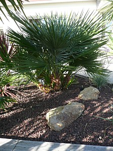 Thumbnail of a-2008.jpg