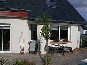 Thumbnail of cordyline-A-2006.jpg