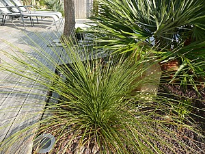 Thumbnail of 2011.jpg