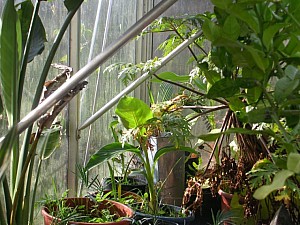 Thumbnail of 2006-Divers jeunes.jpg