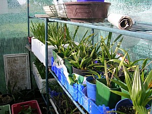 Thumbnail of 2006-jeunes 2.jpg