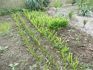 Thumbnail of 2007-jeunes.jpg