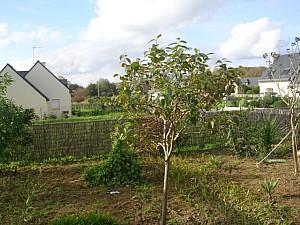 Thumbnail of 2006.jpg