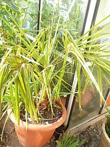 Thumbnail of B-2011.jpg