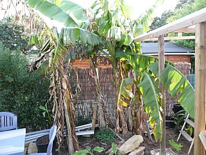 Thumbnail of 2007.jpg