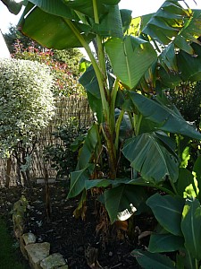 Thumbnail of 2008.jpg