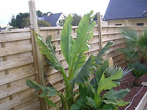 Thumbnail of 2006.jpg