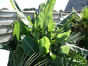 Thumbnail of 2007.jpg