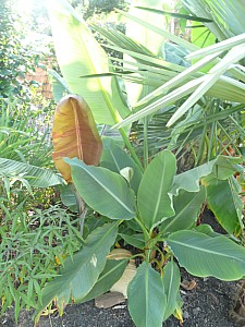 Thumbnail of 2011.jpg