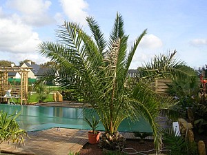 Thumbnail of 2006.jpg