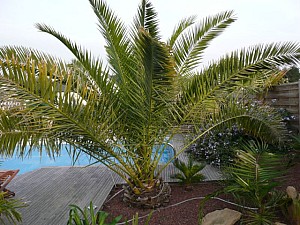 Thumbnail of 2007.jpg