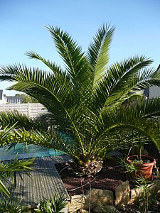 Thumbnail of 2008.jpg