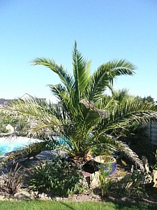 Thumbnail of 2009.jpg