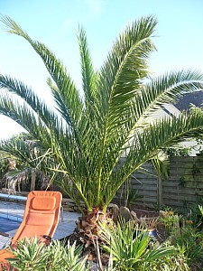 Thumbnail of 2010.jpg