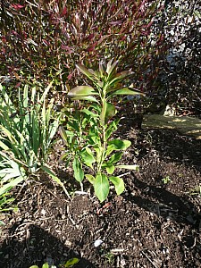 Thumbnail of Octobre-2008-0013.jpg